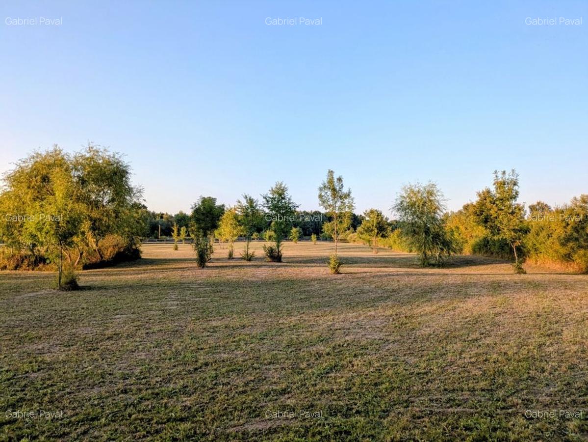 De vânzare: Teren 12.600 mp - Ghiroda - Comision 0% - 7