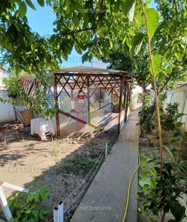 Vila P M 240mp utili si 400mp teren Radu Negru - 2