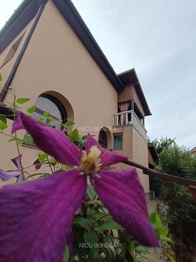 ? VILA DEOSEBITĂ DE VÂNZARE ÎN ARAD - ZONA CENTRALĂ - 28