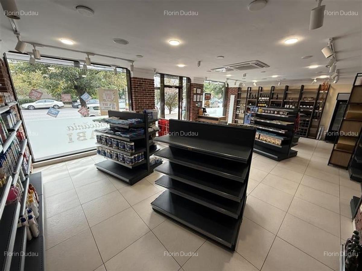 Stefan cel Mare - spatiu comercial stradal 120mp - 11