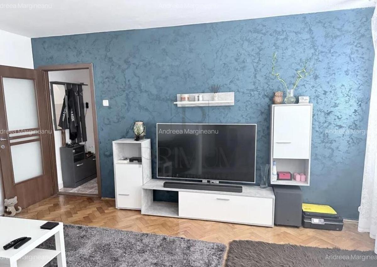CETATII - 2 Camere - Parter - Centrala proprie - Mobilat - 1