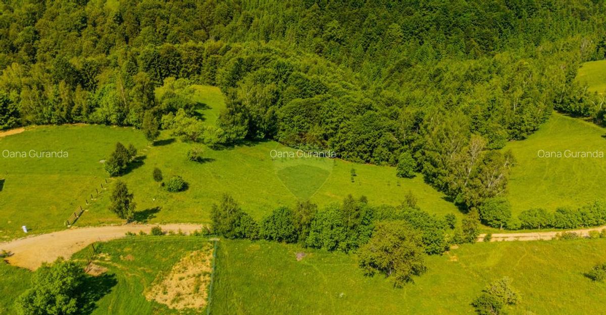 Teren extravilan 2,000mp Pestera / cabana vacanta/natura - 8