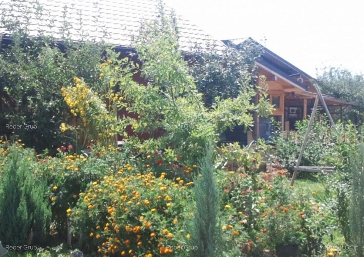 Intravilan 572 mp , loc de casa , zona padure Baicoi Prahova - 7
