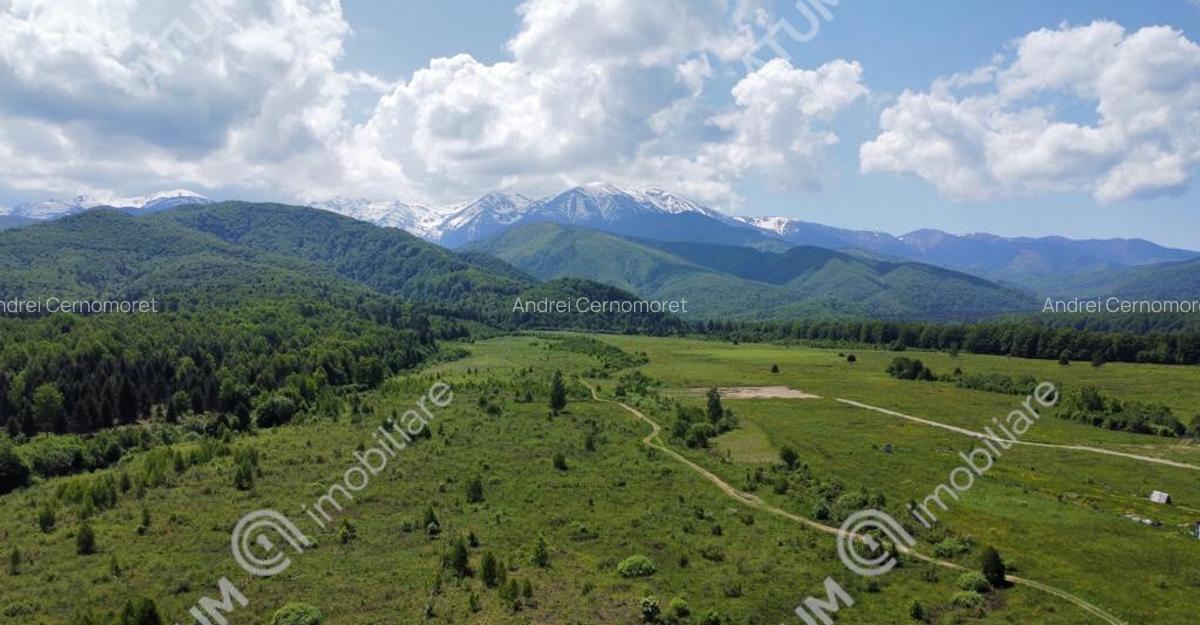 Teren intravilan 1000 mp de pe Valea Avriguluiu - 2