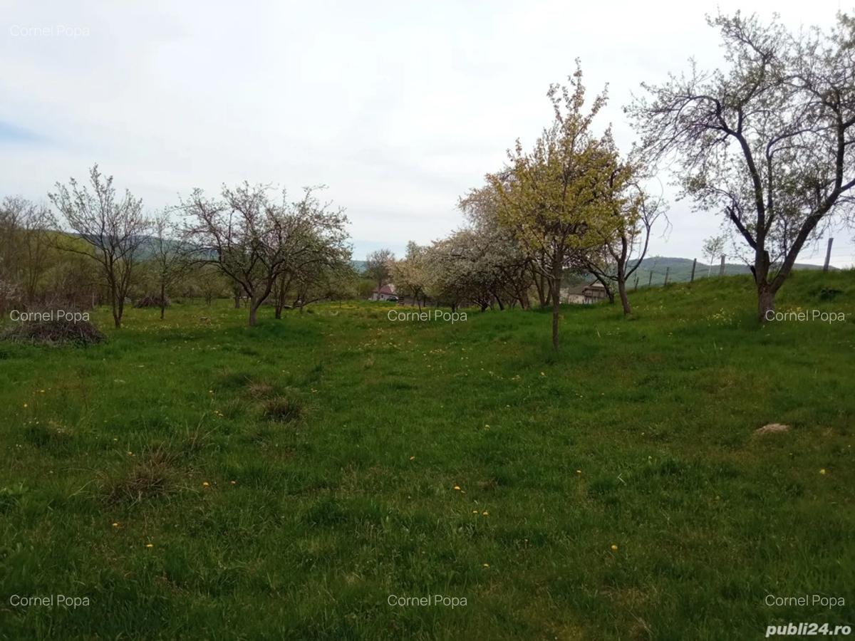 Vand casa cu gradina - 3