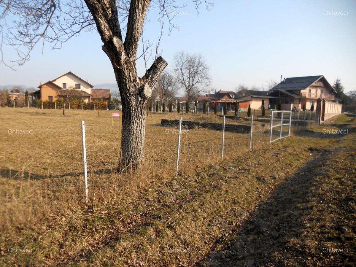 TEREN INTRAVILAN ULTRACENTRAL LA 6 KM DE SIGHET LA SOSEA PRINCIPALA ASFALTATA - 3