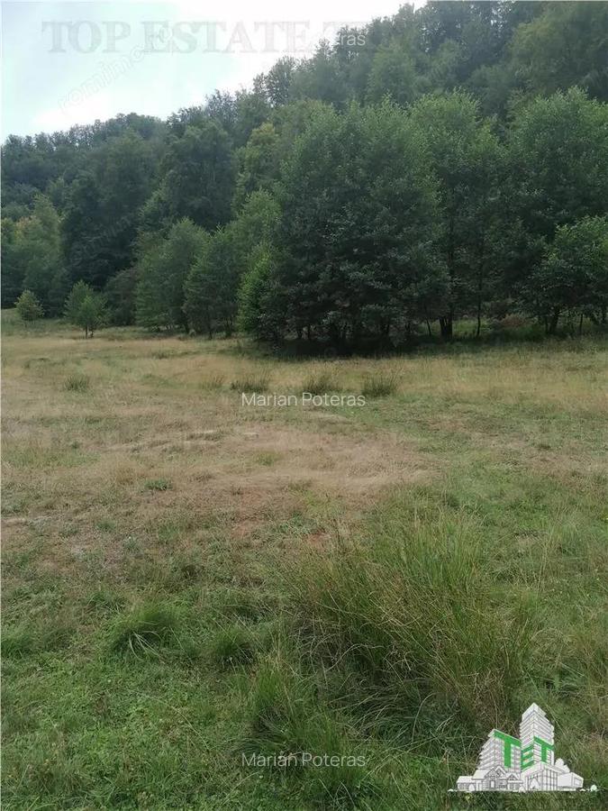 Teren intravilan - Berevoiesti - Arges - 5