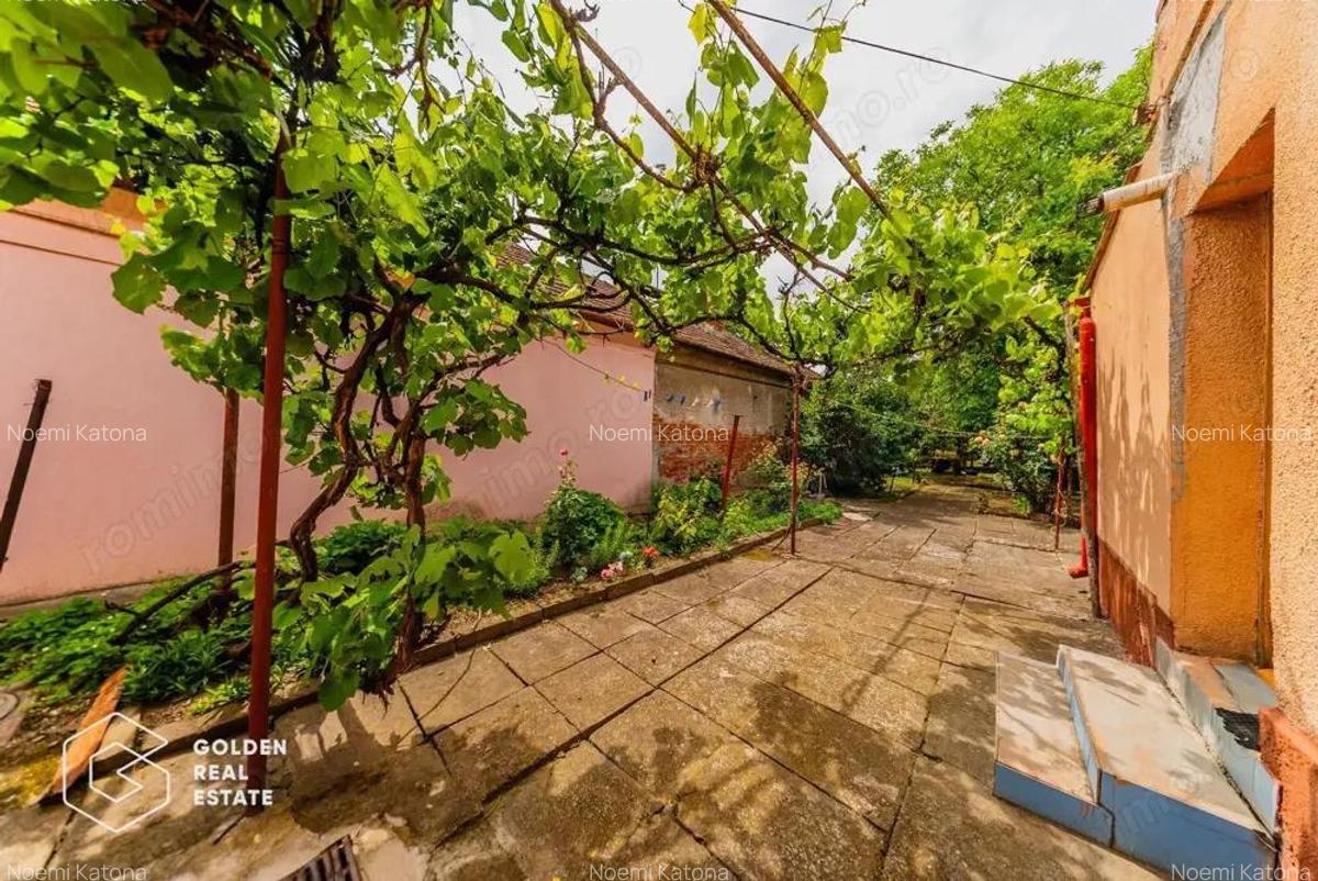 Casa cu teren generos de 1095 mp Parneava comision 0% - 11