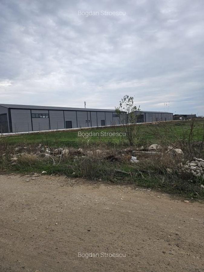 2 hale noi 2025 Magurele ( Constructoriilor ) - 2