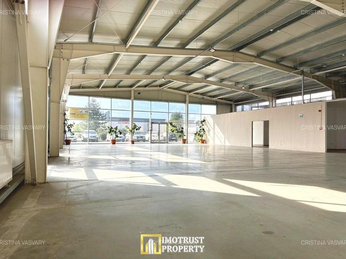 Hala mixta 800 mp de inchiriat – showroom, birouri, depozit – Arad - 1
