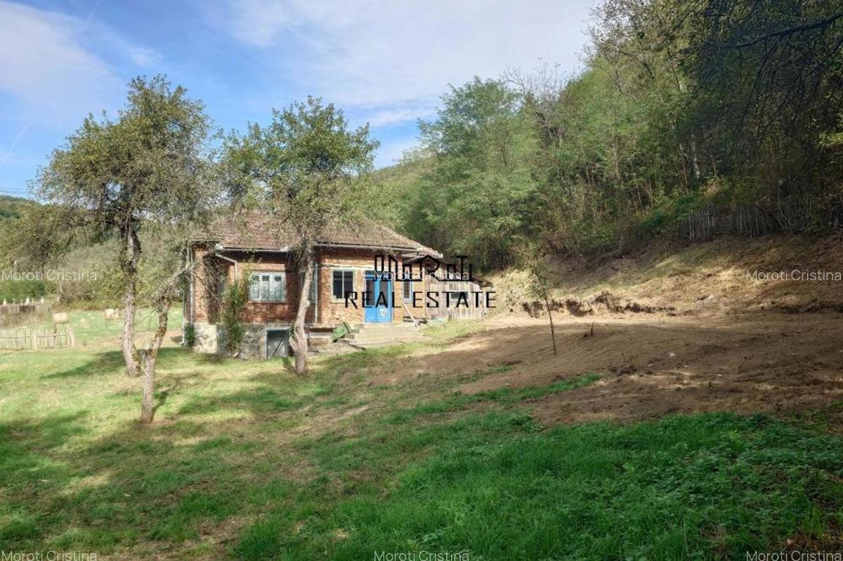 Teren, padure si casa in Dumbrava de Jos, jud. Hunedoara - 17