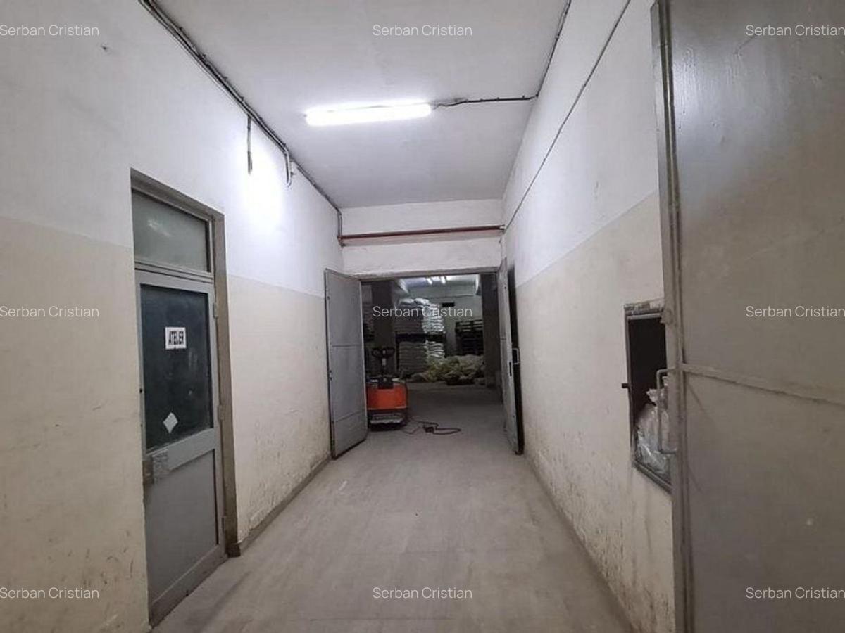 Drumul Intre Tarlale spatiu productie 1350 mp - 11