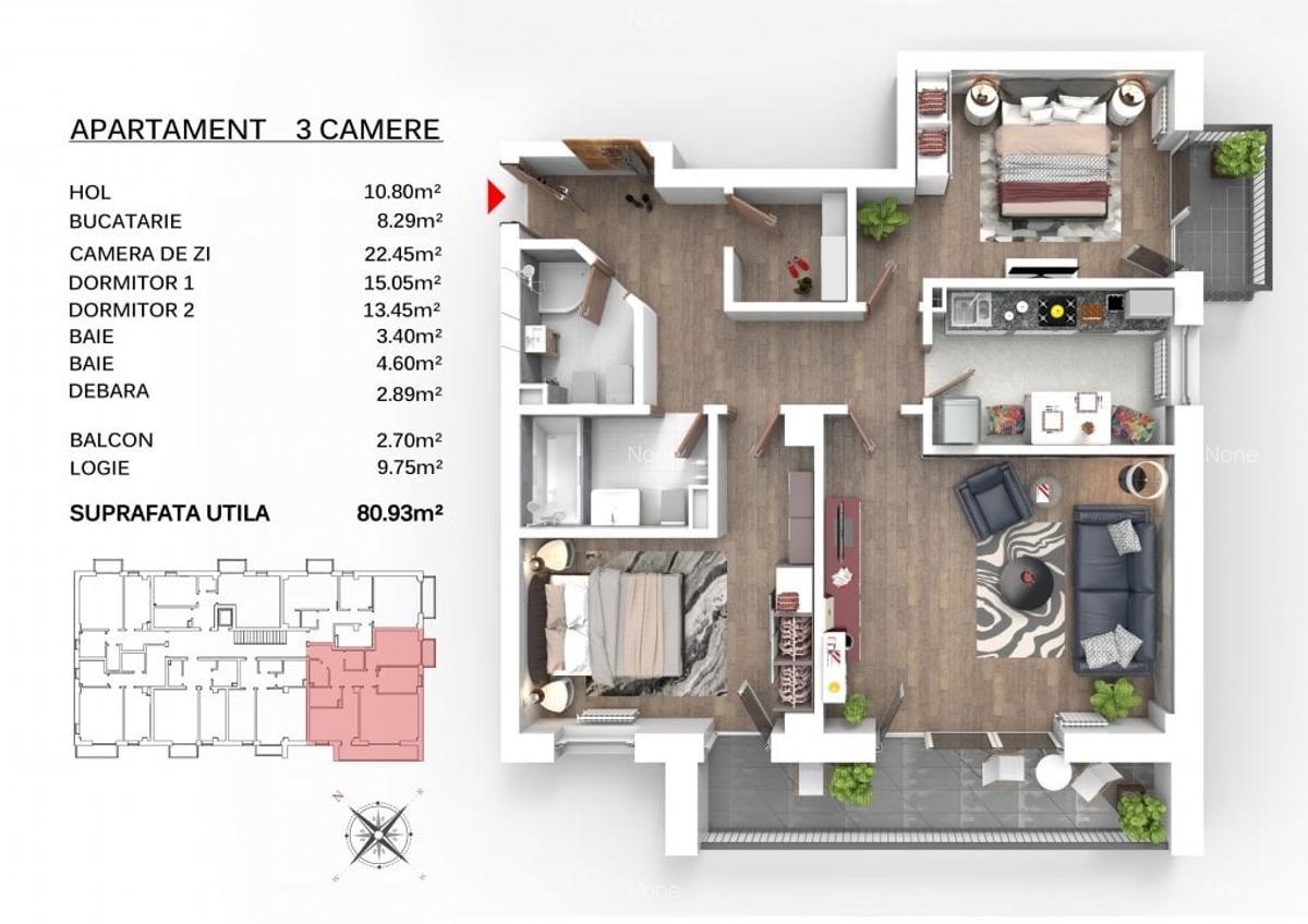 Apartament cu 3 camere decomandat în Triaj - 4