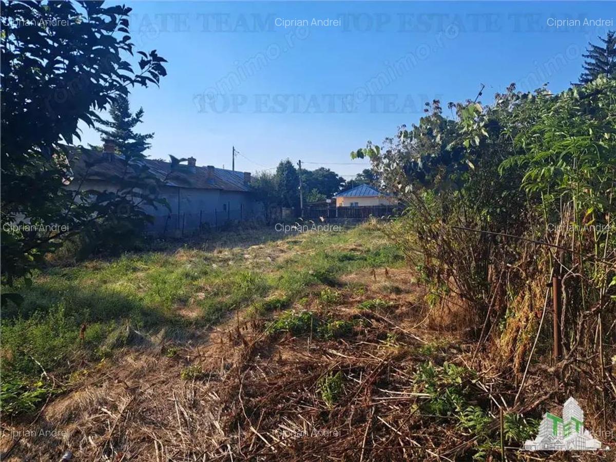 Casa cu teren 3579mp in com. Cascioarele, Jud. Giurgiu - 4