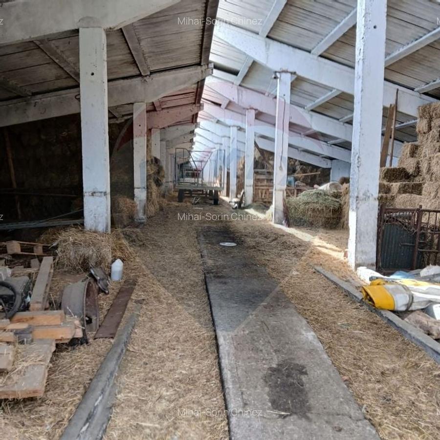 Proprietate speciala de 3,100 mp de vanzare in Maierus - 12