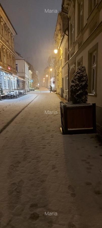 Apartament cu 2 camere decomandat în Centrul Istoric - 4