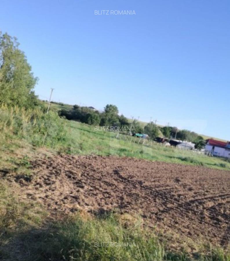 Teren ideal pentru constructie, 2722 mp in Ghercesti - 2