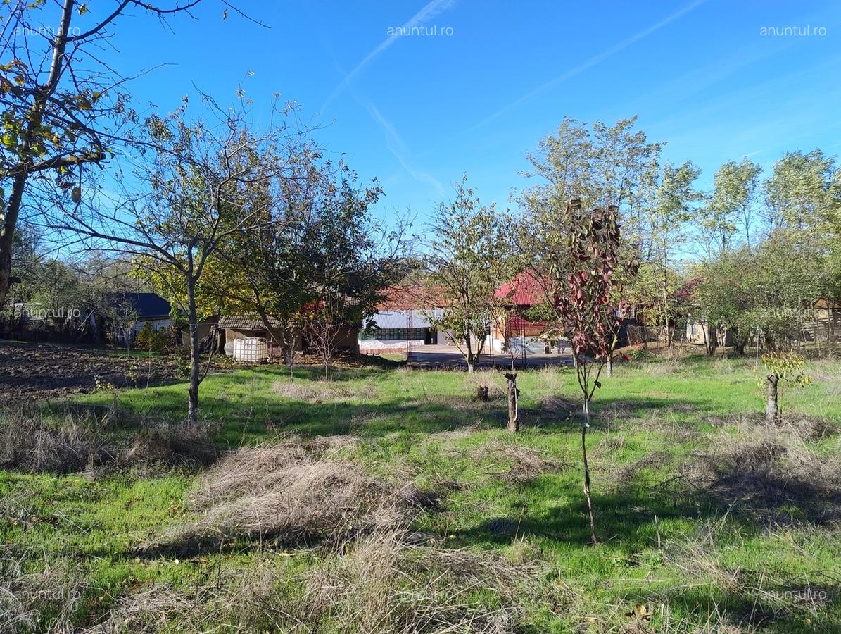 Sat Luptatori, comuna Frasinet, jud.Calarasi - 7