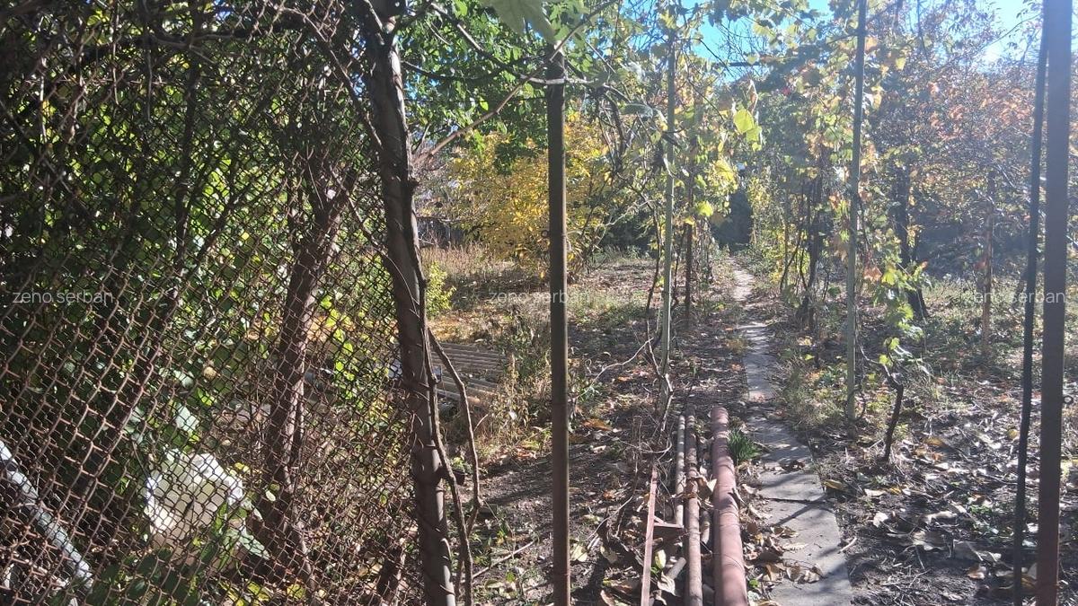 Proprietar vând casă cu grădină două apartamente, Mehala  suprafată totală 739 m - 5