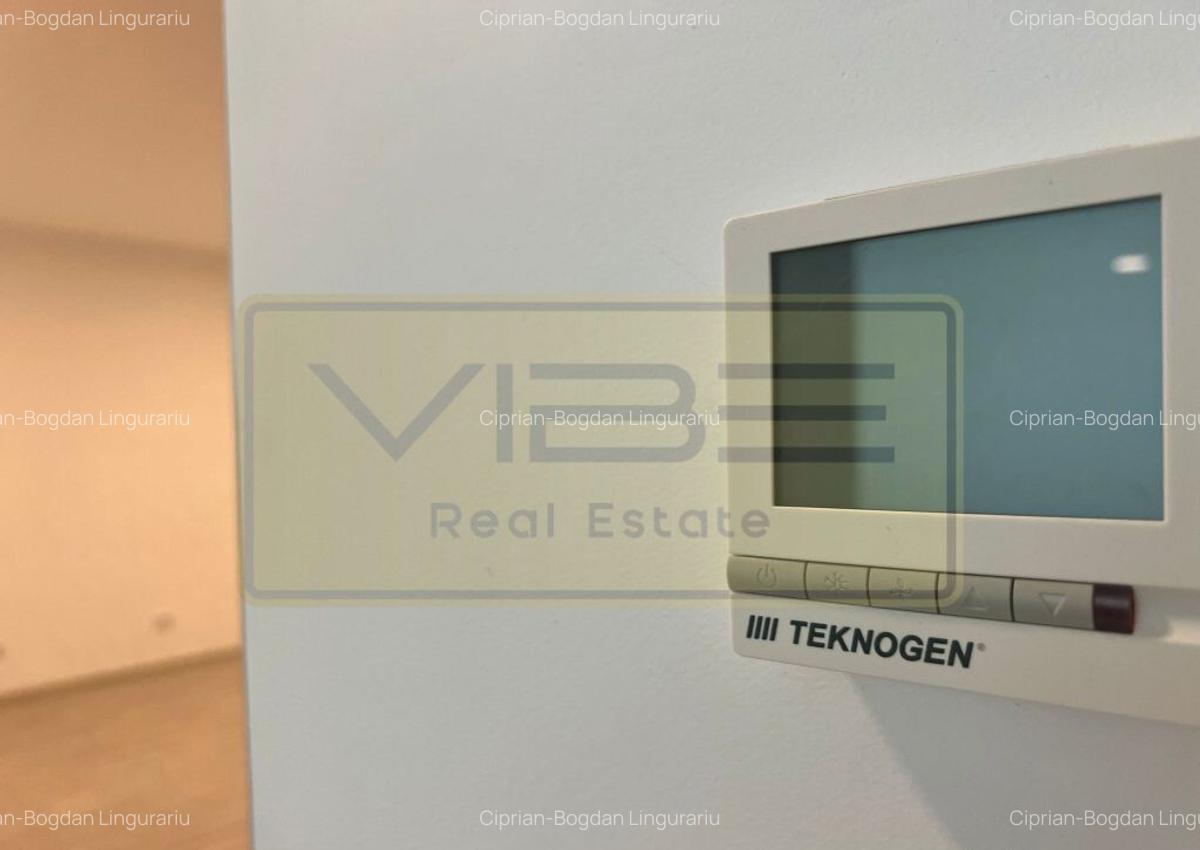 Spatiu de birou/comercial Bd. Independentei - Spiridon - 6