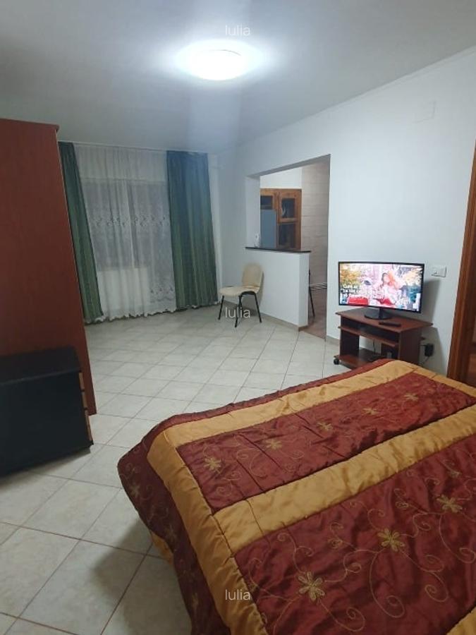 Garsoniera de inchiriart Bd Brailei - 2