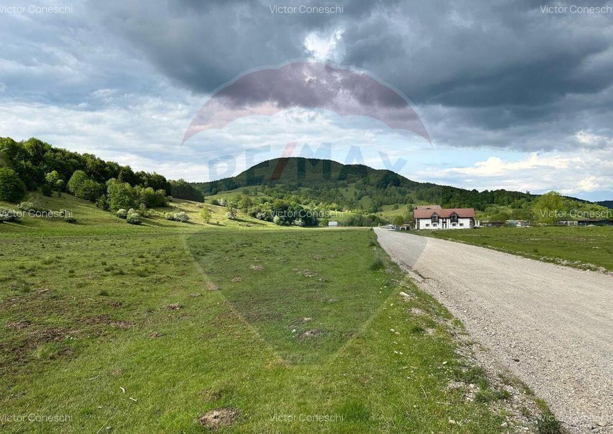 OPORTUNITATE! Teren 5,000 mp Vama Buzaului / Drumul DJ103A - 3