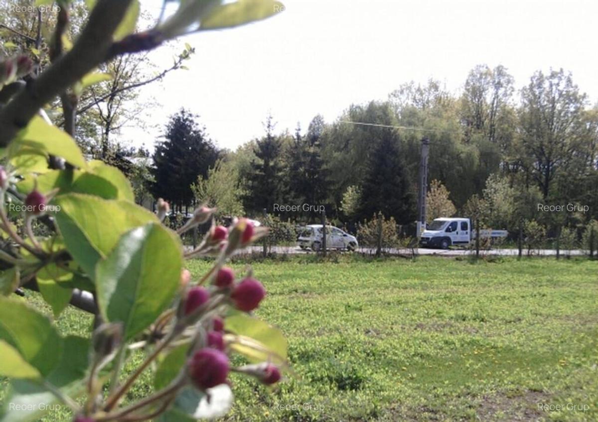 Intravilan 572 mp , loc de casa , zona padure Baicoi Prahova - 8