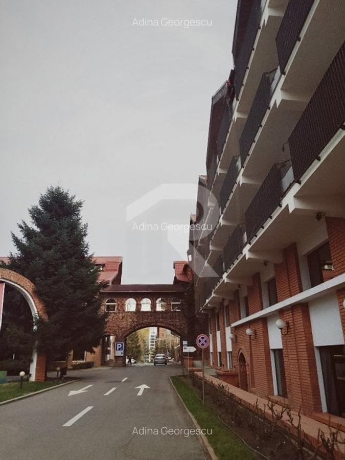 CASTEL CARO_Spatiu de birouri_Cladire emblematica - 2