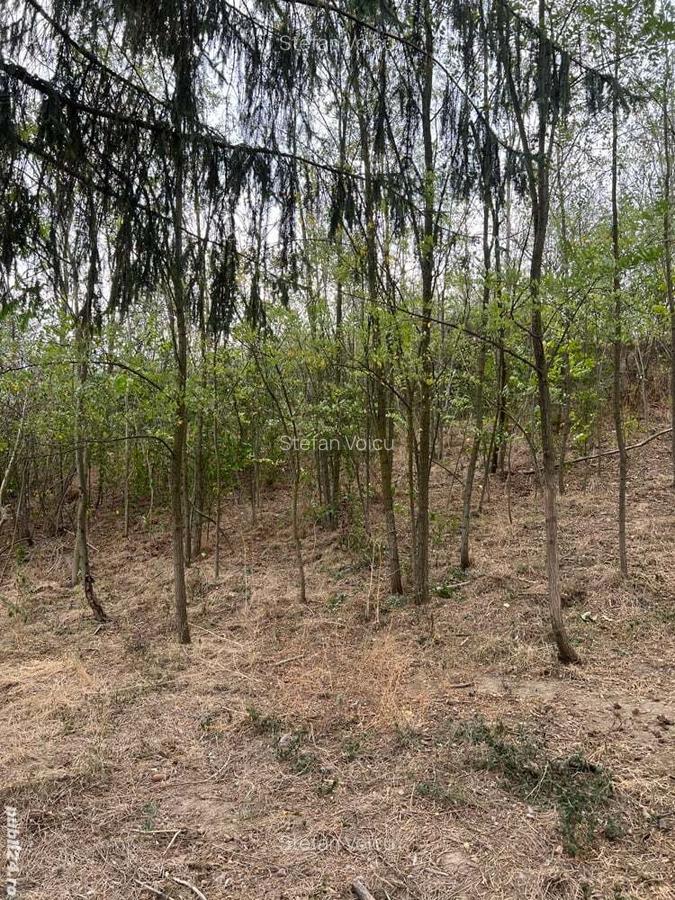 Casa de anzare con Ion corvin - 7 Casa de anzare con Ion corvin - 7