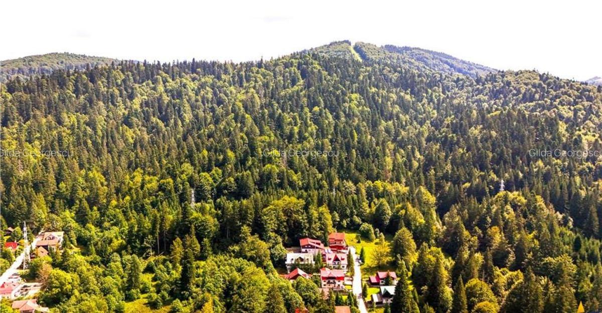 FILM! Refugiu de vacanta, cu foisor, gradina si muntii in za - 12