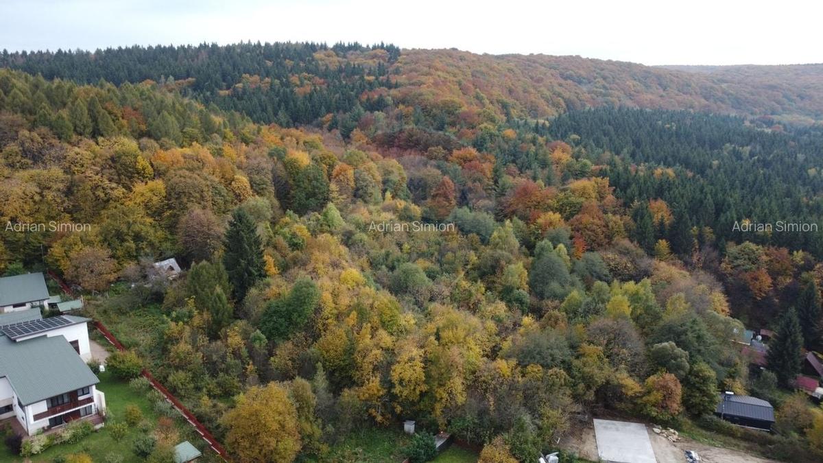 Teren de vanzare in Faget 1542 mp cu panorama - 17