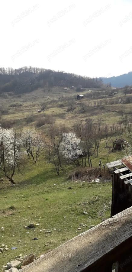 Casa si teren generos de vanzare-Olanesti(sat Tisa) - 4