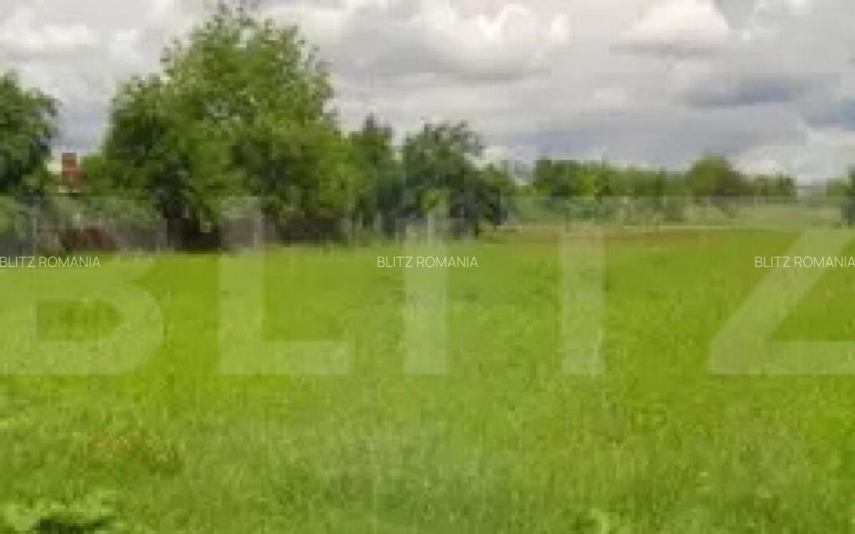 Teren extravilan la pttincipala Calea Lugojului 5000 mp - 2