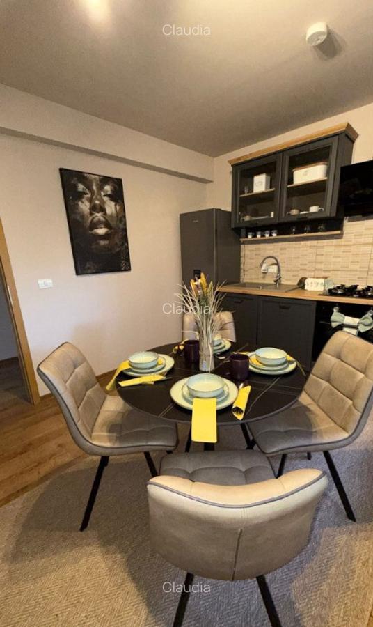 Duplex Confort ?i intimitate Dumbravi?a in fa?a - 7