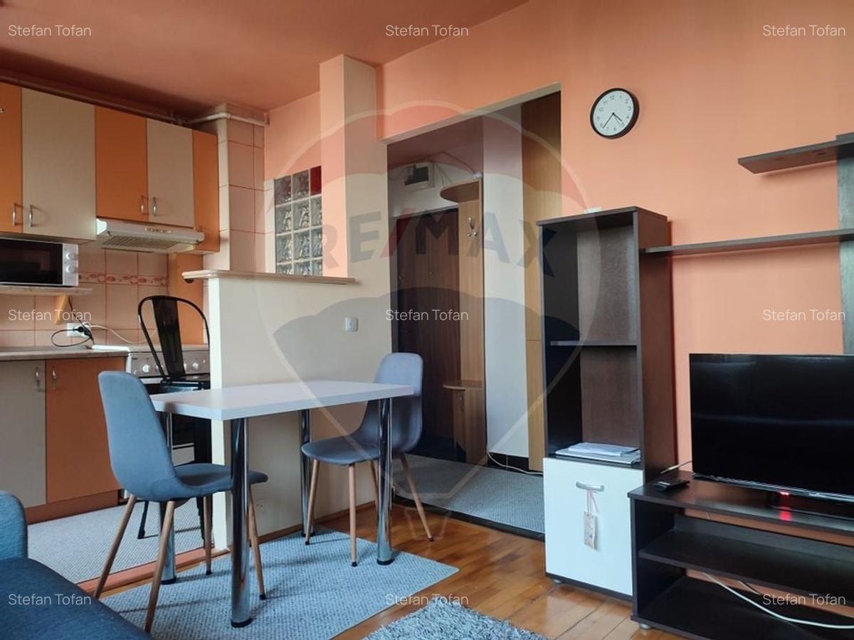 Apartament spatios cu 2 camere de inchiriat in Manastur - 4