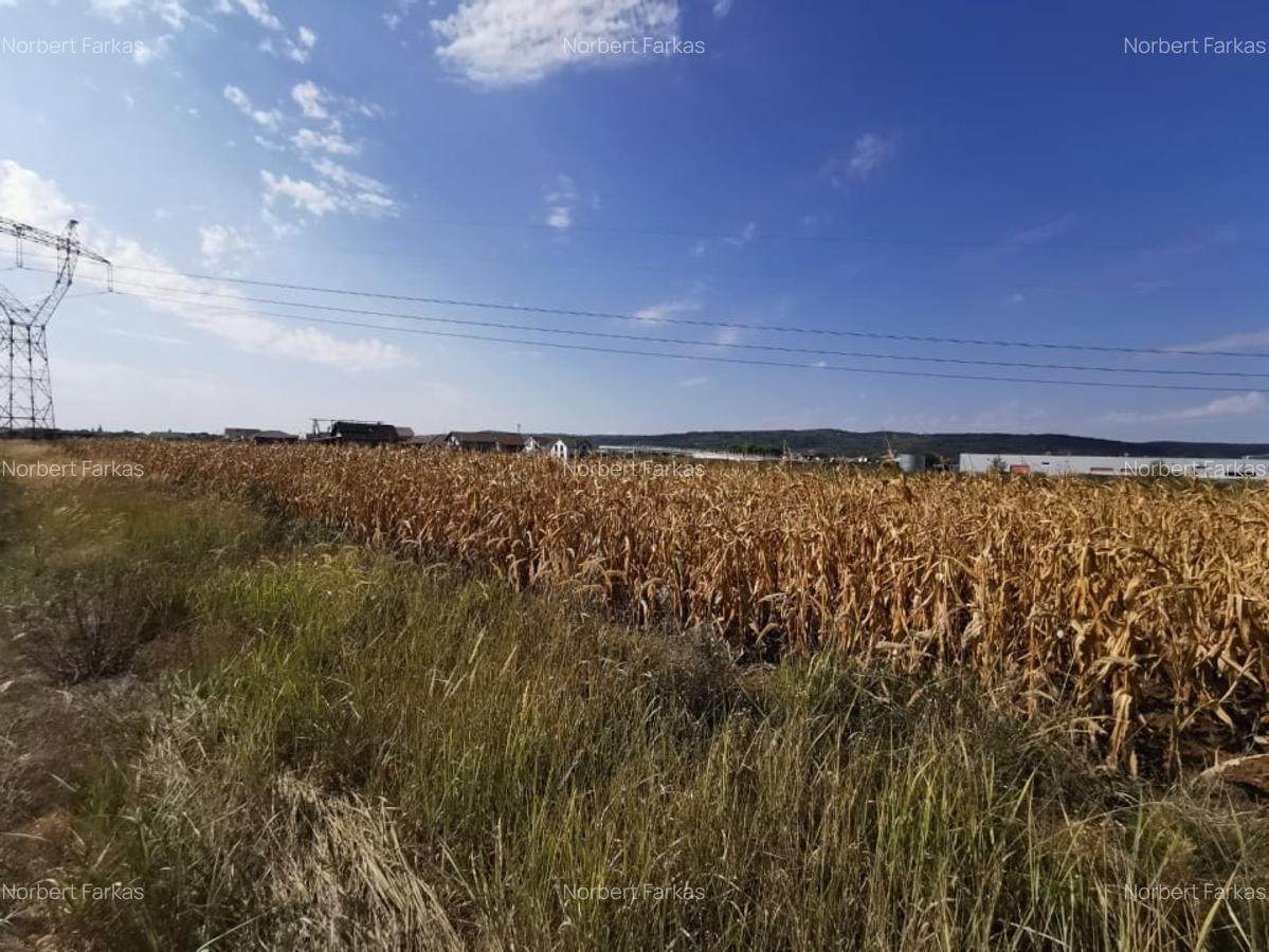 Teren intravilan de vanzare in Osorhei, 5.840 mp, cu front 3 fronturi stradale. - 3