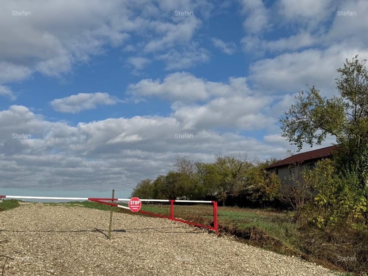 Piscu, Ciolpani, teren intravilan 1000 mp, str. Campului,aproape Muzeu, 29 eur - 6