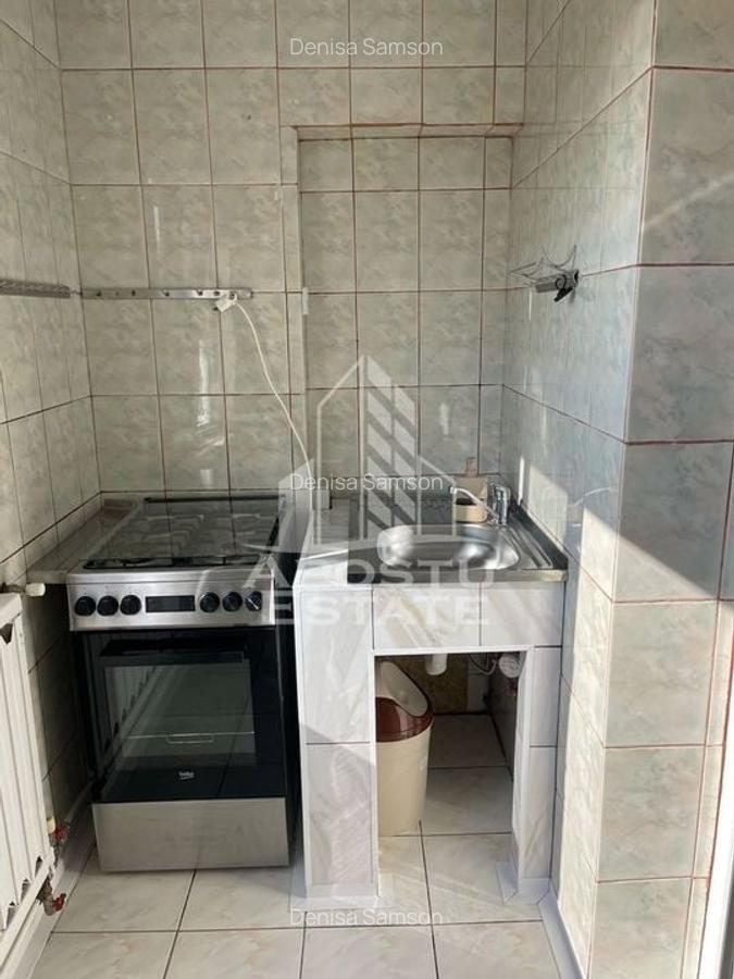 Apartament 2 camere, pet friendly, zona Girocului - 8