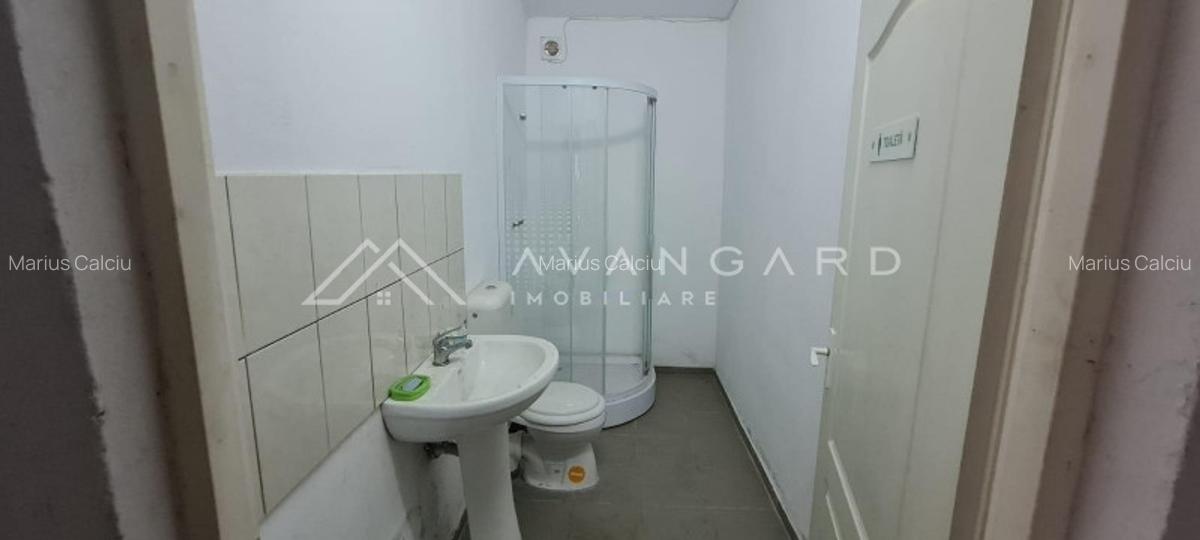 Spatiu Industrial/Hala | 1060 mp utili | Oiejdea (Alba) - 12