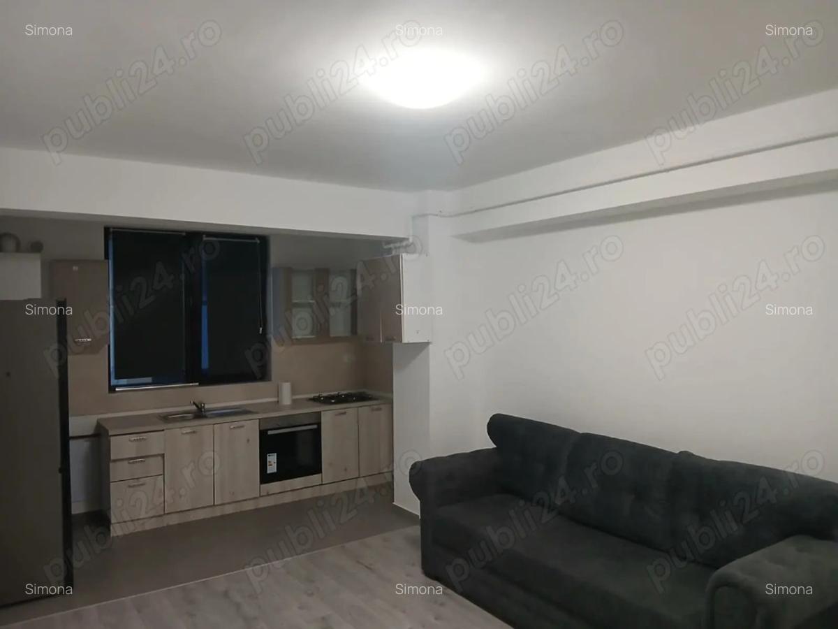 Apartament de inchiriat in Valea lupului - 4