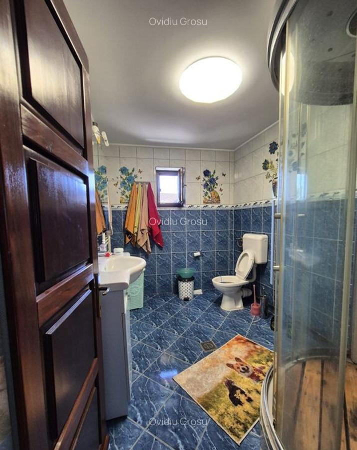 Casa + magazin Orasul Fundulea, stradal DN3 - 6