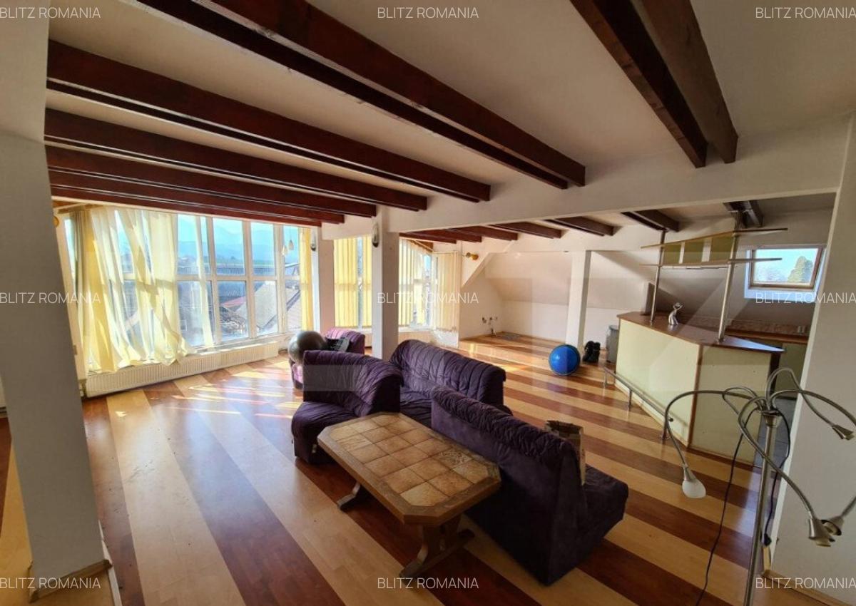 Casa, proprietate pretabila pentru sediu de firma + hala pro - 2