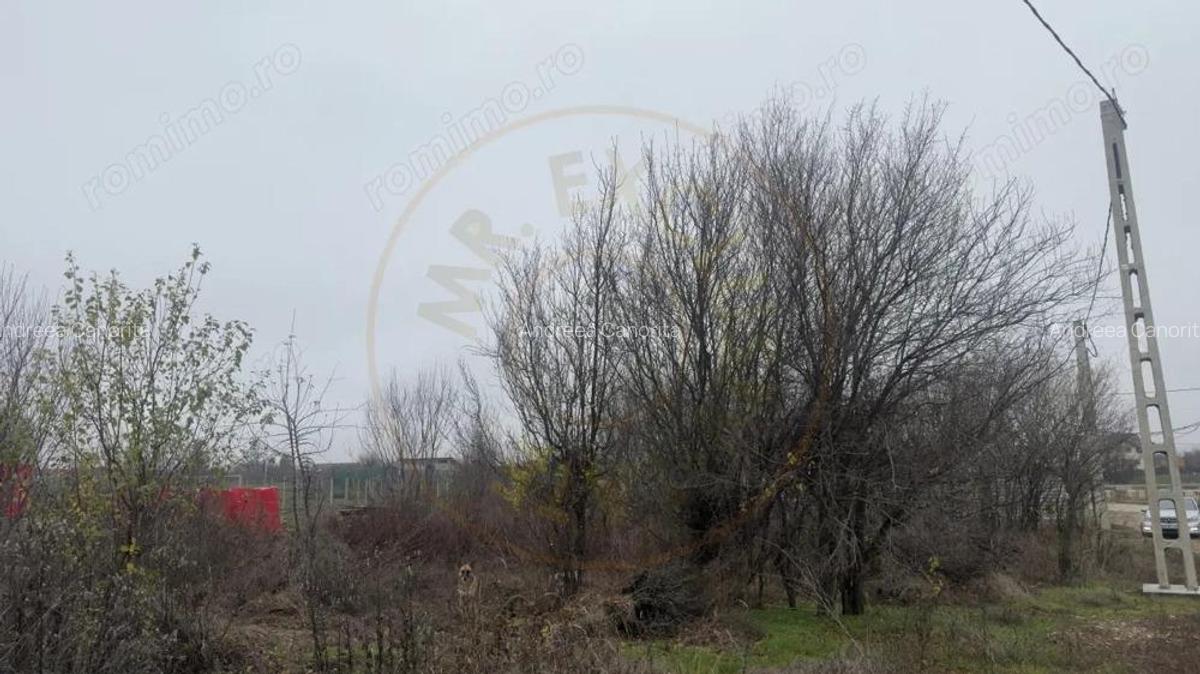 Teren de 533 mp - 10 min de Pitesti-Albota Arge?! - 5