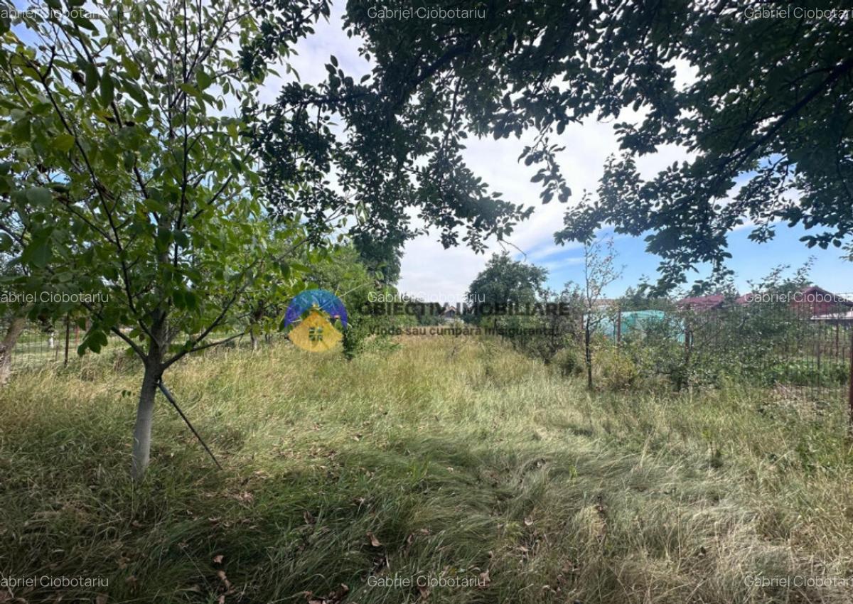 Teren + Casa de Vanzare 1170 mp Dumbrava Ro?ie, N - 16