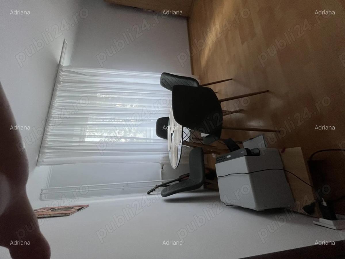 Apartament Lujerului 2 camere de inchiriat - 10