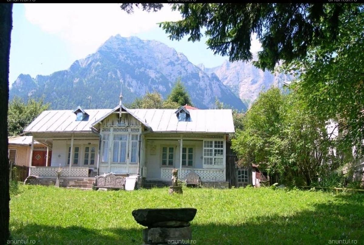 Busteni, ultracentral - 1