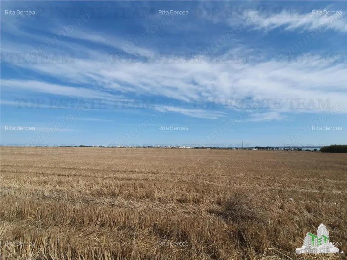 Teren Techirghiol - 4