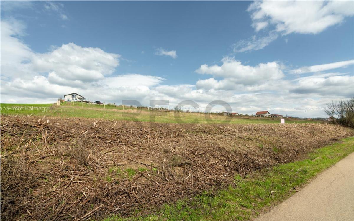 Teren intravilan Cetariu - 5