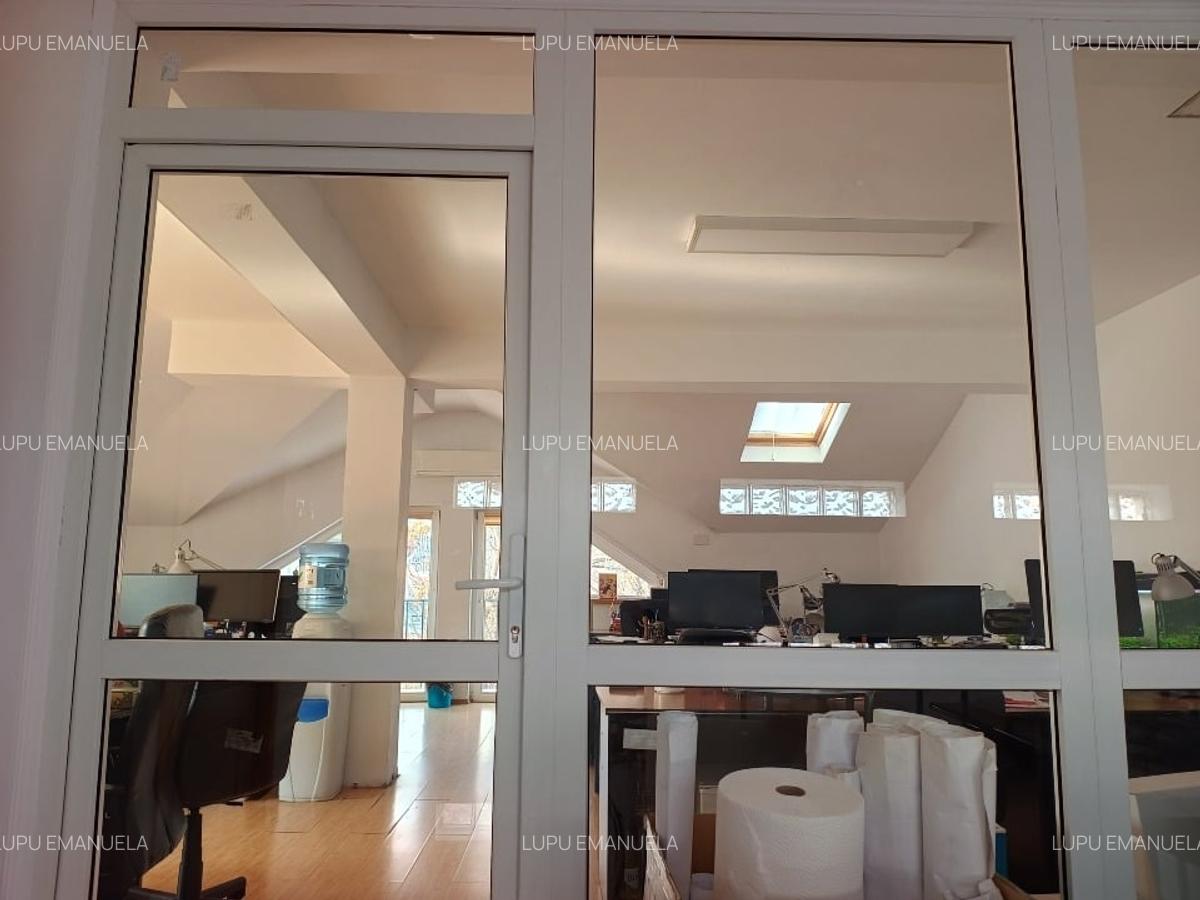 Proprietar vand doua vile in zona Calea Plevnei - 5