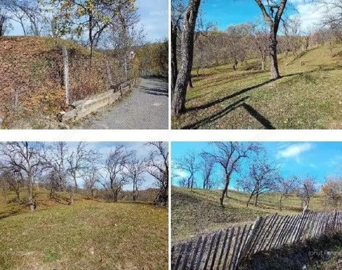 Teren cota parte 1/2, Sat Vistieru, ID: R2809860 - 7